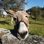 Quinta Do Santinho