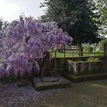 Quinta Do Santinho *