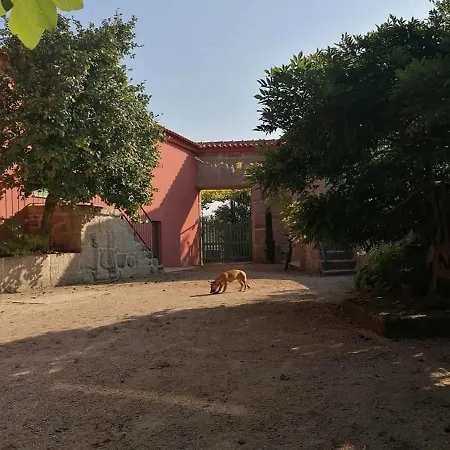 Quinta Do Santinho * 아마란테