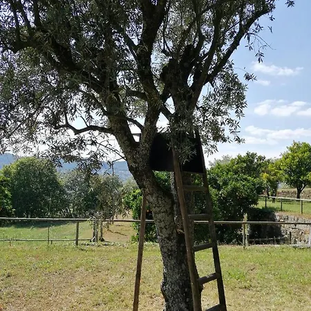 펜션 Quinta Do Santinho *