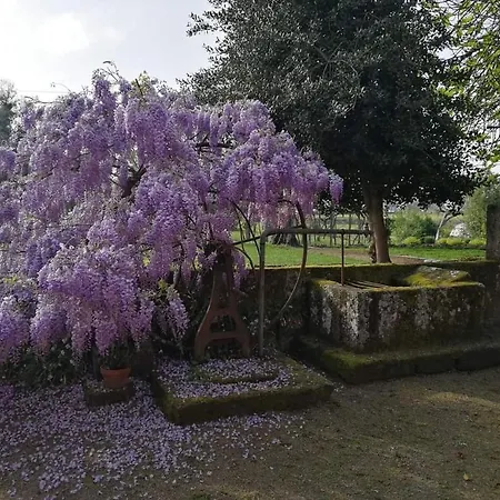 Quinta Do Santinho *