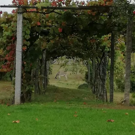 Quinta Do Santinho Semesterbostad *