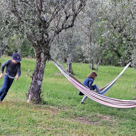 Quinta Do Santinho Amarante