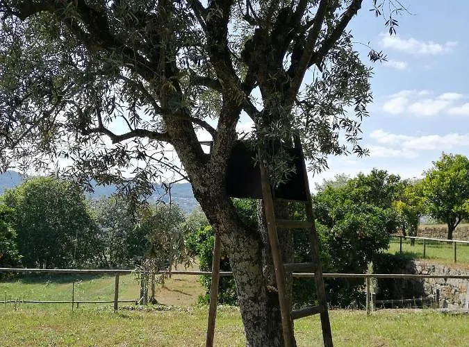 Сasa de vacaciones Quinta Do Santinho *