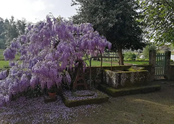 Quinta Do Santinho *