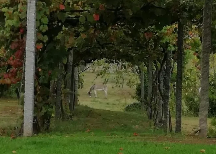 Quinta Do Santinho Casa de Férias *