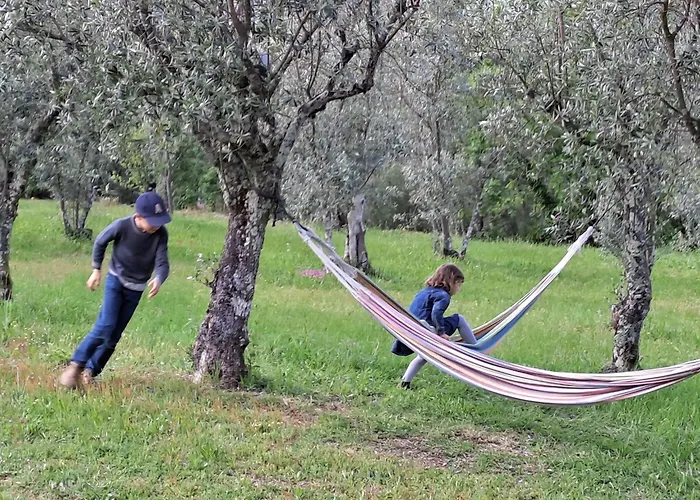 Quinta Do Santinho Amarante