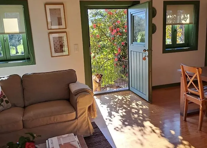 Quinta Do Santinho Amarante