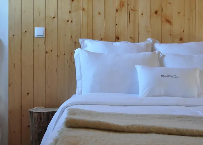 Casa de Férias Quinta Do Santinho Amarante